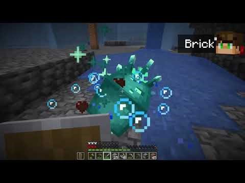 when you need to help bro out