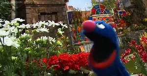 Sesame Street  Sesame Street S46 E017  Camping Show