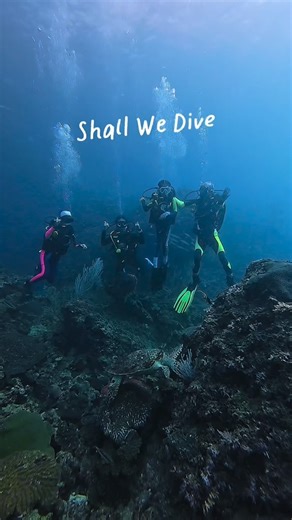 Shall we dive on Instagram: "Scuba gangs of the week 💚 📍Racha island Thank you 🙏 everyone for joining us and sharing such a great time on our scuba day. ✅ Miyu Minna & Aunty Note – Welcome back, our beloved kids. So happy to see you again every year. Your smiles and cheerfulness always make the day perfect. 😁 ✅ Grace & Danny – Congrats 🎉 Grace on completing your Advanced course. Your scuba skills have leveled up! Let’s go explore more of this beautiful world. And thank you to Danny for bein
