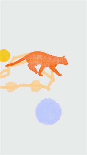 Animation of a Cat #animationstyle #animationtechnique #animation #framebyframeanimation #artist