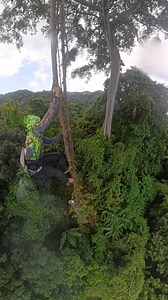 58K views · 14K reactions | High adrenaline honey harvesting #arispurwadi #honey #nature #fblifestyle #usa | Aris Purwadi | Facebook