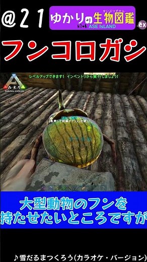 ARK生物図鑑21.フンコロガシ #ゲーム実況 #ARK #mod #shorts