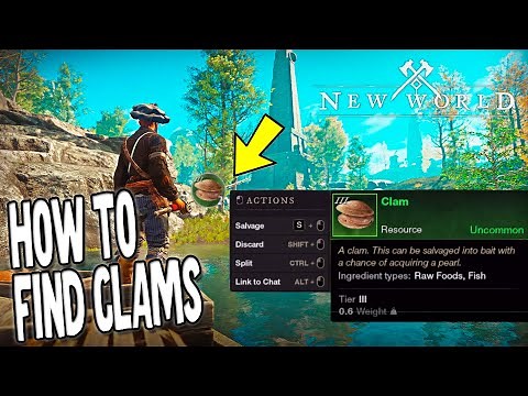Where and How to Find Clams in New World