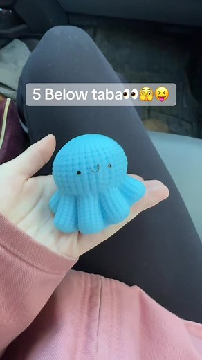 Discover 5 Below's Taba Squishy Fidget Toys