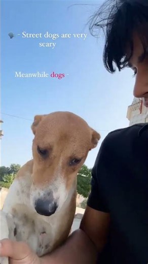 #bollywood #song #coversong #cover #movie #flute #music