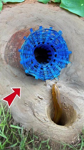 Simple & Useful Survival Skills