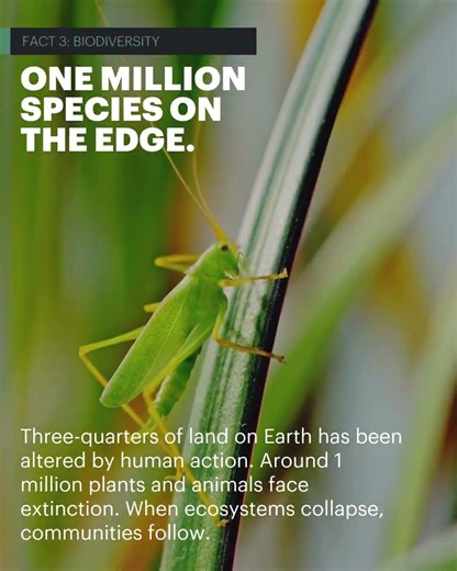 CORE: Climate Change Facts the World Can't Ignore