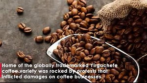 Gedeo Zone Coffee processors in SNNPR are receiving compensations for damages incurred due to last year's unrest. Highlights... | The Reporter | Facebook