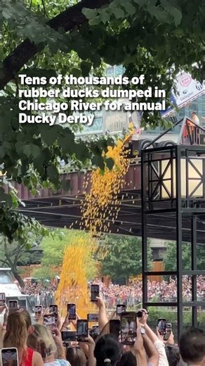Tens of thousands of rubber ducks dumped in Chicago River for annual Ducky Derby