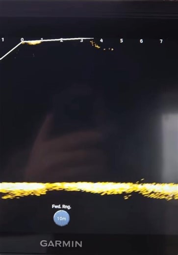 Dolphin content incoming.. 🎥 Moray Firth Fishing Charters | Garmin Marine