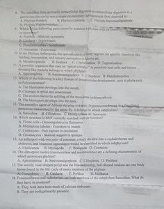 The transition from primarily intracellular digestion to extrac... | Filo