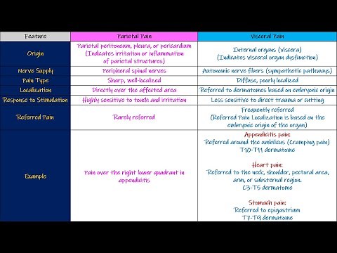 Referred Pain, Visceral Pain, Parietal Pain. Chapter 49 part 6. Guyton and Hall Physiology.