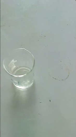 Reaction of magnesium with hydrochloric acid #shorts