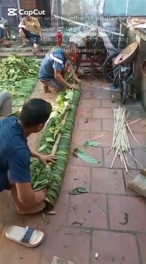 Traditional Rolling of Large Leaf Bundle