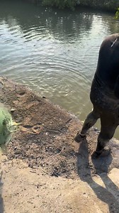 Saco 3 lisas Jared #Gente #pesca #fishing | El Gama