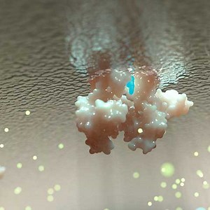 Mecanismo y tratamiento de la fibrosis quística