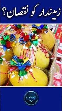 Loss to Landlord |#fruit |#fruits |#mandi |#market |#price |#rate |#cheap |#wholesale |#shopping