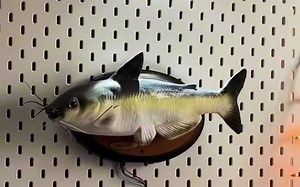 谁能拒绝一条会唱歌的鱼呢01：Goofy Goober