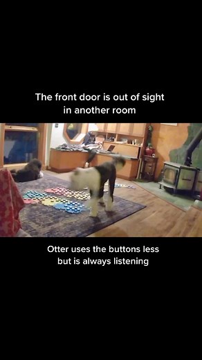 Smart Dog Listening and Finding the Ball