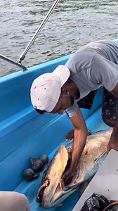 Wow 😳 what a catch 👏 Anyone knows the name of this fish? | Angela Love