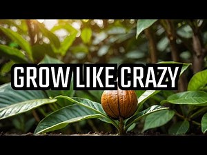 Top 10 Nutty Ways to Grow Your Nutmeg