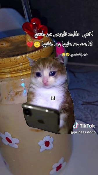 فيديوهات مضحكة عن المواقف العائلية