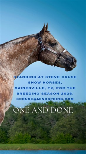 3.1K views · 110 reactions | Add your stallion to the Stud Club!...