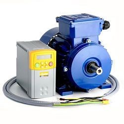 Variable Speed Motor - Variable Speed AC Motors Latest Price, Manufacturers & Suppliers
