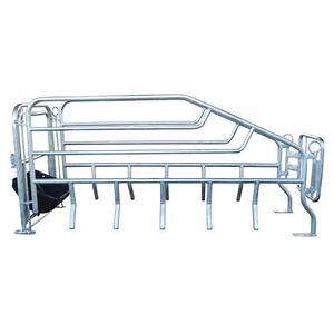 [Hot Item] Factory Direct Selling Breeding Equipment Sow Limit Crate Pig Single Crate