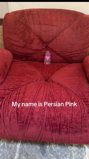 Monty Bojangles Chocolate: Meet Persian Pink