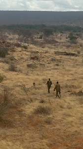 979K views · 25K reactions | Sharp and specialised, our SWT/KWS...