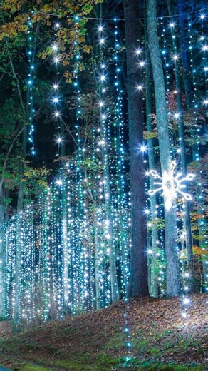 The magic is real when you experience Fantasy in Lights for the first time. ✨🎄 Grab your tickets now! 🎥: @thestoneave | Callaway Resort & Gardens