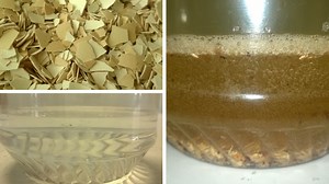 How To Make Water-Soluble Calcium (Step-By-Step User Guide) | Micro Farm Guide