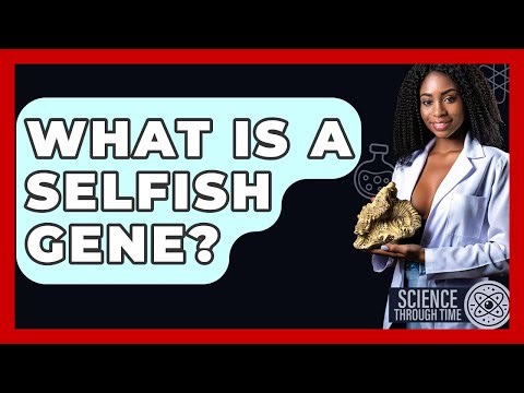 What Is A Selfish Gene? - Science Through Time