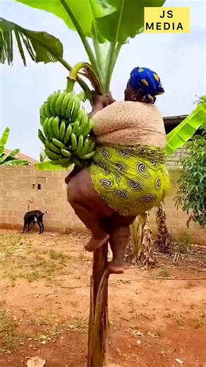 #viral #trending #fyp #tiktok