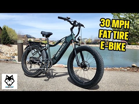 Mokwheel Tor Plus Review: An All-Terrain Monster E-Bike