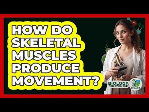 How Do Skeletal Muscles Produce Movement?
