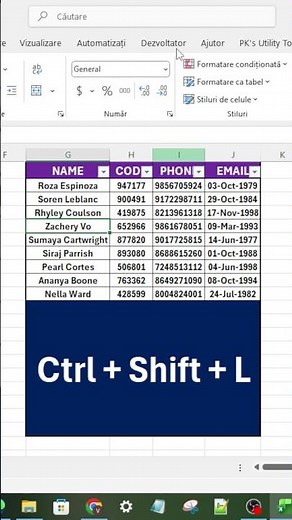 Excel Shortcut Ctrl + Shift + L | Apply Filter Instantly #excel #microsoft #exceltips