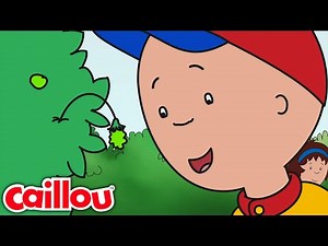 Rushing the rasberry | Caillou Compilations - WildBrain | Cartoons for kids