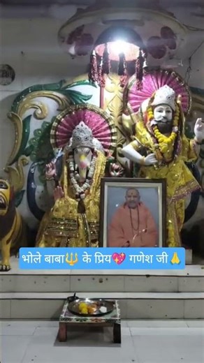 Lord Ganesh ji ki Aarti 🪔🪔🌺#shorts #shiv #ganesh #love