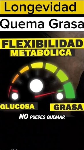 Flexibilidad Metabólica quema grasa #flexibilidad metabólica #salud #quemargrasa #bajardepeso