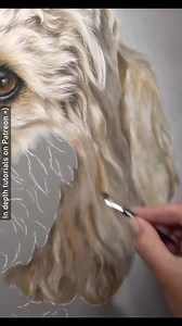 274K views · 3.7K reactions | Fur textures like this may not have lots of individual details at every layer. Usually, the fur is more clumped together but building the values to create depth before adding finer details will maximise the realism for this fur type. If to many details are added early on, then the fur can take on a more wiry appearance which wouldn't be right here. | Zara's Pet Portraits & Wildlife Art | Facebook