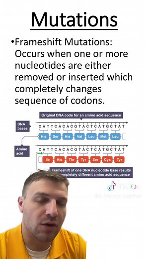 Types of Mutations in Biology Explained