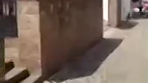 trier-horific-violence-from-german-lawyer-stole-attempted-murder-city-paid-to-commit-crime-and-steal-martial-law-apartheid-was-a-system-of-institutionalised-racial-segregation-snp-kkk-blm-lgtb-psychos-cdu-snp-neocons-trump-help-givefastlink