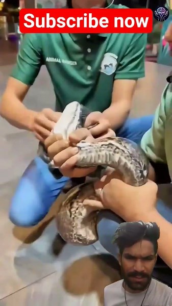 how to viral shorts on new channel#shorts #viral