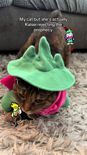 Ralsei Plush With My Cat: Cute Reaction and First Try