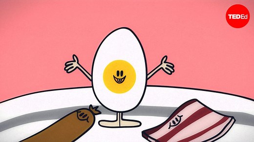 What actually causes high cholesterol?