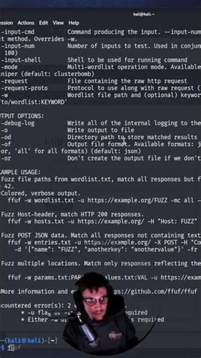 FFUF (Fuzz Faster U Fool), one of the fastest and most widely used web enumeration tools in