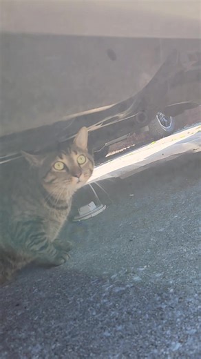 5.3K views · 157 reactions | KANE is INSANE!!! | Kim Yates | Facebook