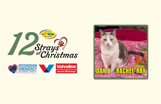 Day 8 – Rachel Ray | 95.7FM WZID